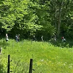 Rayon De Soleil Villars Appartamento