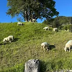 Rayon De Soleil Villars Appartamento *