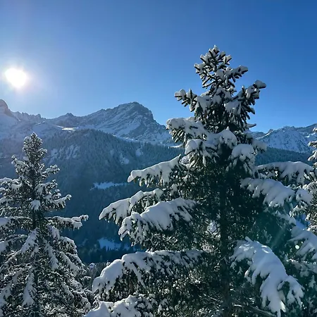 Rayon De Soleil Villars