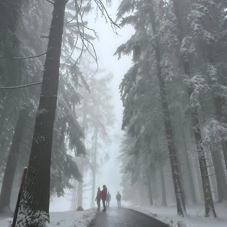 Apartmán Rayon De Soleil Villars *