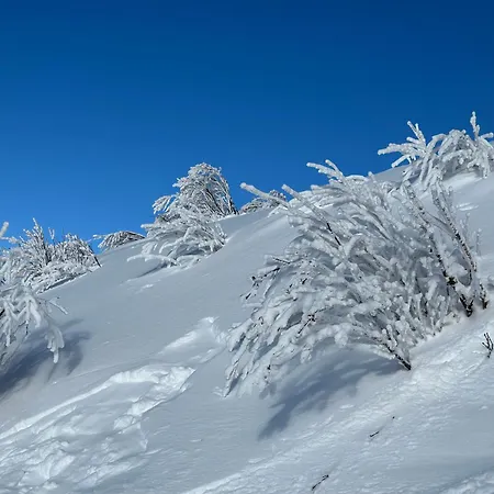 Rayon De Soleil Villars