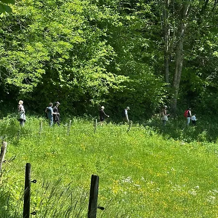 Rayon De Soleil Villars Apartamento