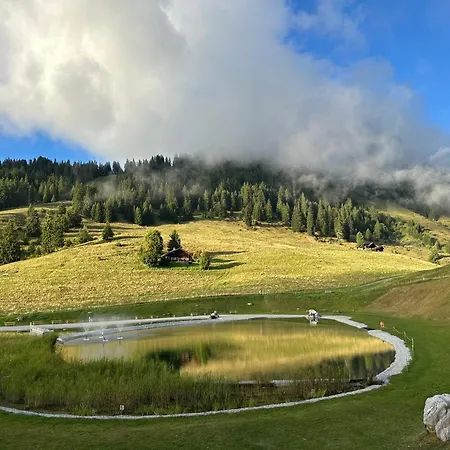 Rayon De Soleil Villars * Gryon