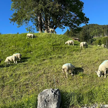 Rayon De Soleil Villars Apartmán *