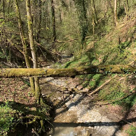 Rayon De Soleil Villars Διαμέρισμα Gryon