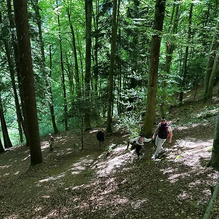 Rayon De Soleil Villars * Gryon