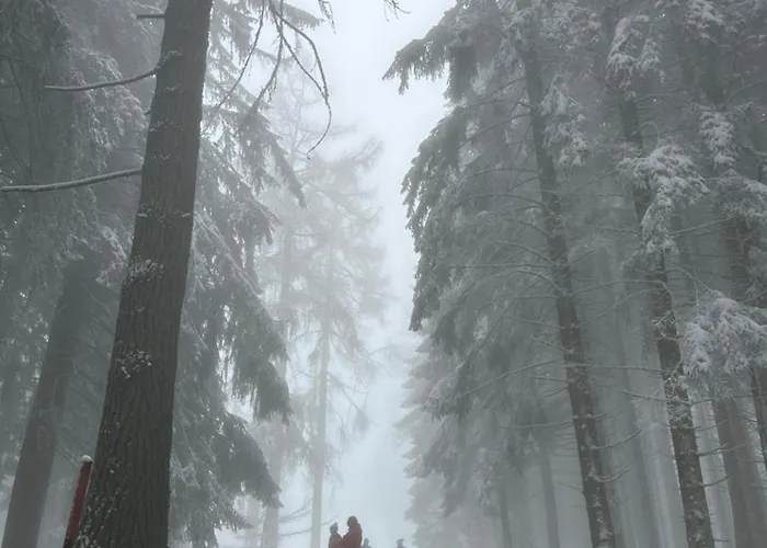 Daire Rayon De Soleil Villars *