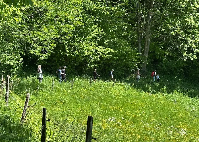 Rayon De Soleil Villars Daire