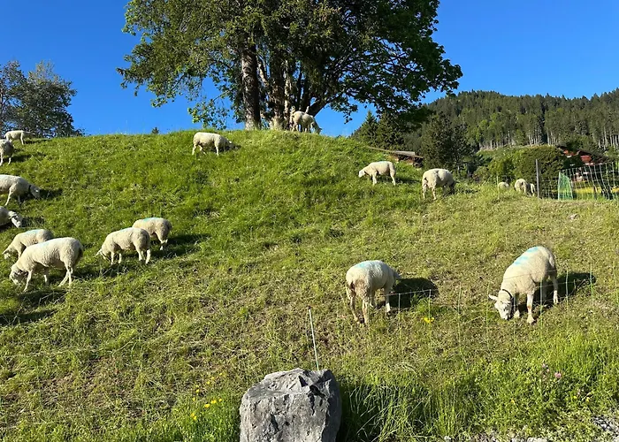 Rayon De Soleil Villars Daire *