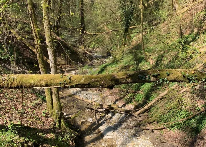 Rayon De Soleil Villars Appartement Gryon