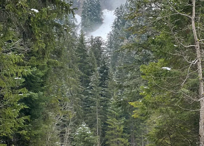 Rayon De Soleil Villars Gryon