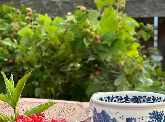 Rayon De Soleil Villars Apartment *