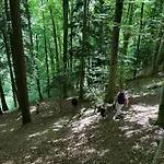 Rayon De Soleil Villars * グリオン