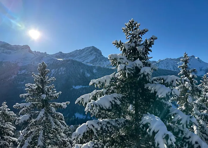 Rayon De Soleil Villars