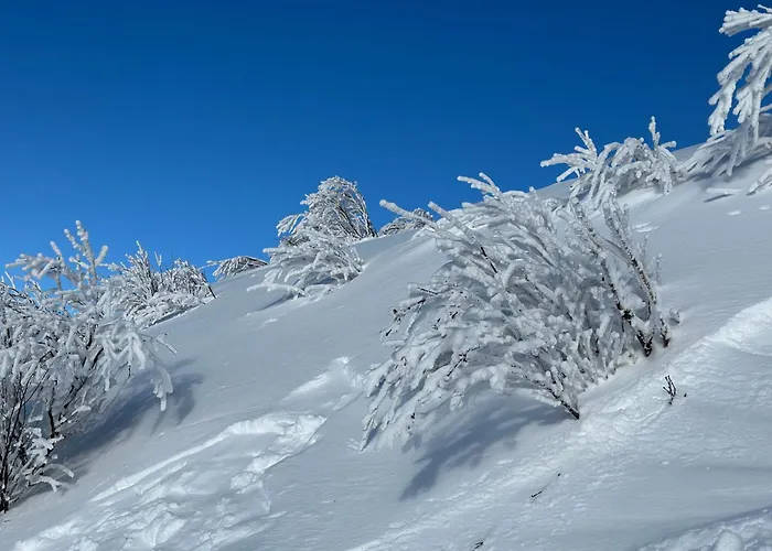 Rayon De Soleil Villars