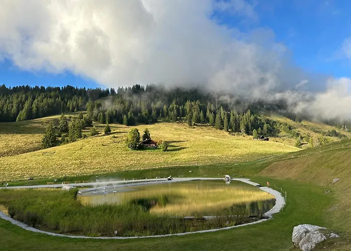 Rayon De Soleil Villars * Gryon