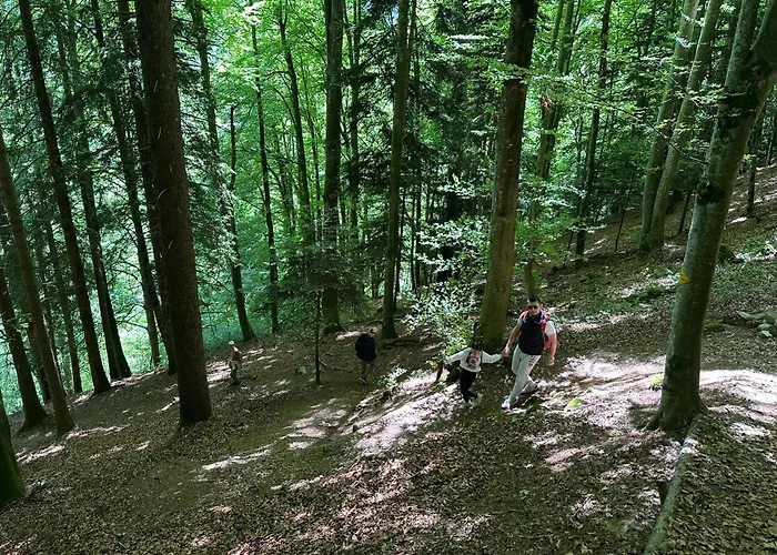 Rayon De Soleil Villars * Gryon